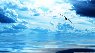 Walpapers hd 5(beachs 3) jr cordeiro