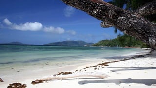 Walpapers hd 5(beachs 3) jr cordeiro