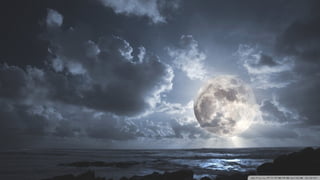 Walpapers hd 5(beachs 3) jr cordeiro