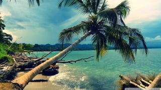 Walpapers hd 5(beachs 3) jr cordeiro