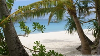 Walpapers hd 5(beachs 3) jr cordeiro