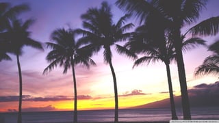 Walpapers hd 5(beachs 3) jr cordeiro