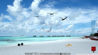 Walpapers hd 5(beachs 3) jr cordeiro