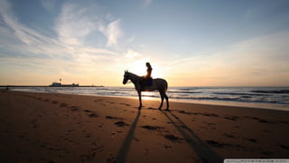 Walpapers hd 5(beachs 3) jr cordeiro