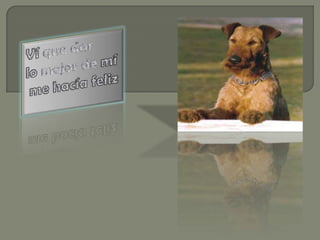 Ví que dar lo mejor de míme hacía feliz