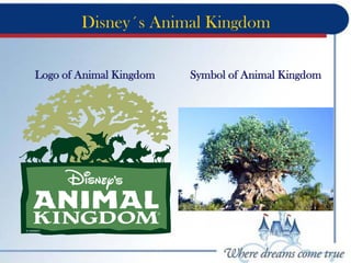 Disney´s Animal Kingdom
Logo of Animal Kingdom Symbol of Animal Kingdom
 