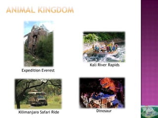 Kali River Rapids
 Expedition Everest




Kilimanjaro Safari Ride      Dinosaur
 