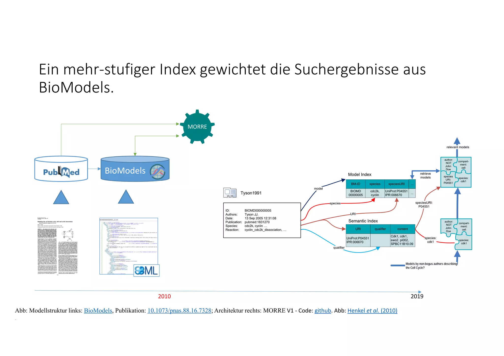 Ein mehr‐stufiger Index gewichtet die Suchergebnisse aus 
BioModels.
2010 2019
Abb: Modellstruktur links: BioModels, Publikation: 10.1073/pnas.88.16.7328; Architektur rechts: MORRE V1 ‐ Code: github. Abb: Henkel et al. (2010)
.
model
species
URI
qualifier
Model Index
species:
cdk1
Semantic Index author:
NOT
John
Doe
compart-
ment:
cell
species:
cdk1
relevant models
author:
NOT
John
Doe
species:
cdk1
species
URI:
P04551
Models by non-bogus authors describing
the Cell Cycle?
speciesURI:
P04551
retrieve
models
...BM-ID species speciesURI
BIOMD
00000005
cdc2k,
cyclin
UniProt:P04551
IPR:006670
...
URI qualifier content
UniProt:P04551
IPR:006670
Cdk1, cdk1,
swo2. pi002,
SPBC11B10.09
Tyson1991
ID: BIOMD000000005
Authors: Tyson JJ.
Date: 13 Sep 2005 12:31:08
Publication: pubmed:1831270
Species: cdc2k, cyclin …
Reaction: cyclin_cdc2k_dissociation, …
compart-
ment:
cell
MORRE
BioModels
 