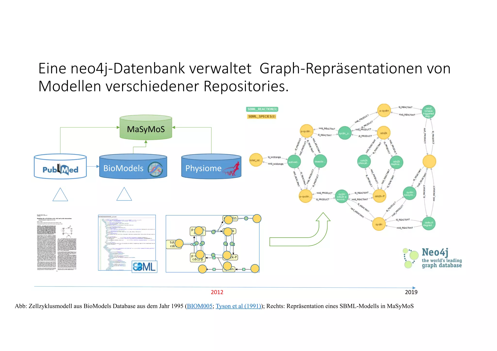 Eine neo4j‐Datenbank verwaltet  Graph‐Repräsentationen von 
Modellen verschiedener Repositories.
2019
Abb: Zellzyklusmodell aus BioModels Database aus dem Jahr 1995 (BIOM005; Tyson et al (1991)); Rechts: Repräsentation eines SBML-Modells in MaSyMoS
MaSyMoS
2012
PhysiomeBioModels
 
