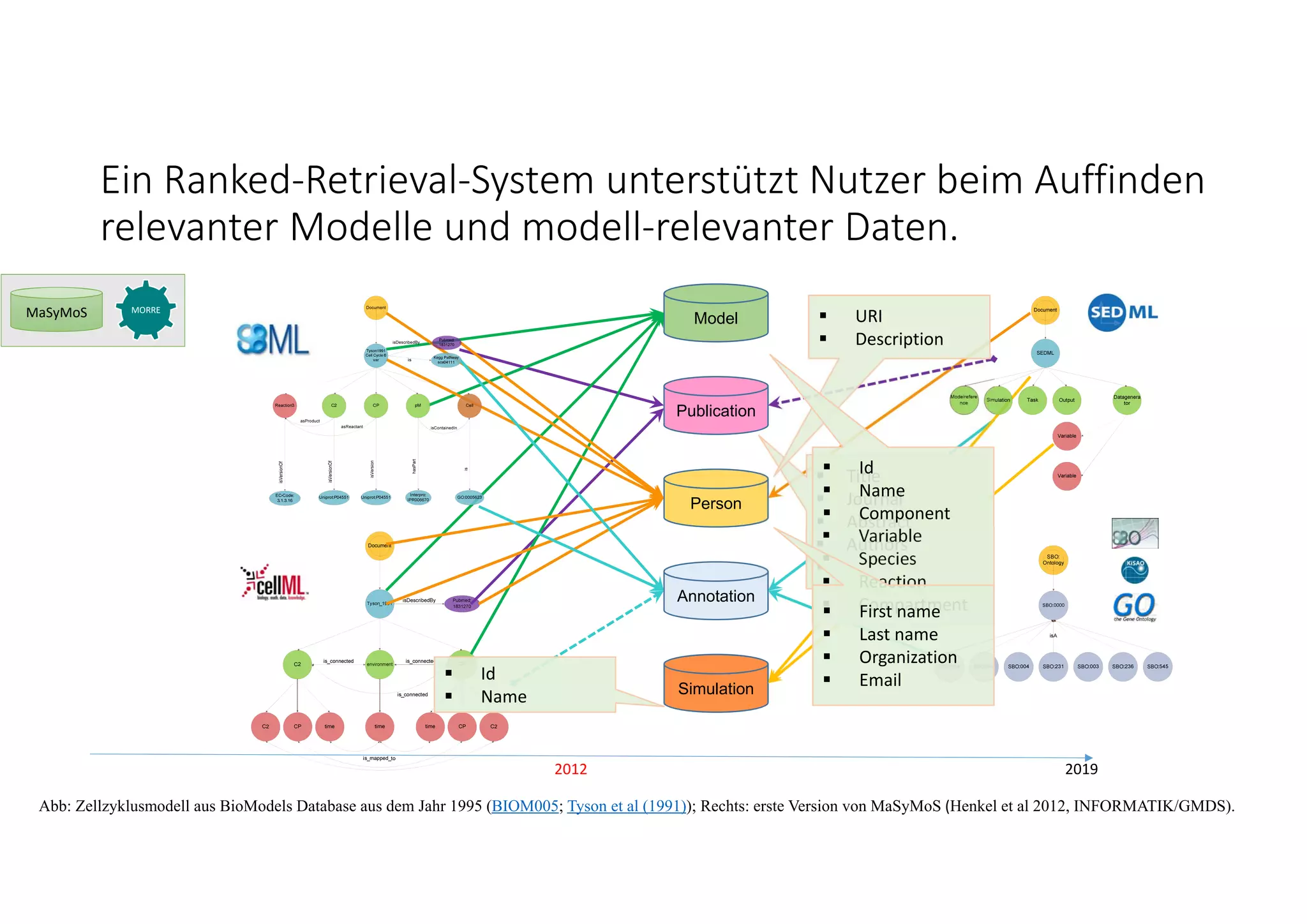 Ein Ranked‐Retrieval‐System unterstützt Nutzer beim Auffinden 
relevanter Modelle und modell‐relevanter Daten. 
2012 2019
Abb: Zellzyklusmodell aus BioModels Database aus dem Jahr 1995 (BIOM005; Tyson et al (1991)); Rechts: erste Version von MaSyMoS (Henkel et al 2012, INFORMATIK/GMDS).
Model
Publication
Annotation
Person
Simulation
 Id
 Name
 Title
 Journal
 Abstract
 Authors
 …
 URI
 Description
 Id
 Name
 Component
 Variable
 Species
 Reaction
 Compartment First name
 Last name
 Organization
 Email
MaSyMoS MORRE
 