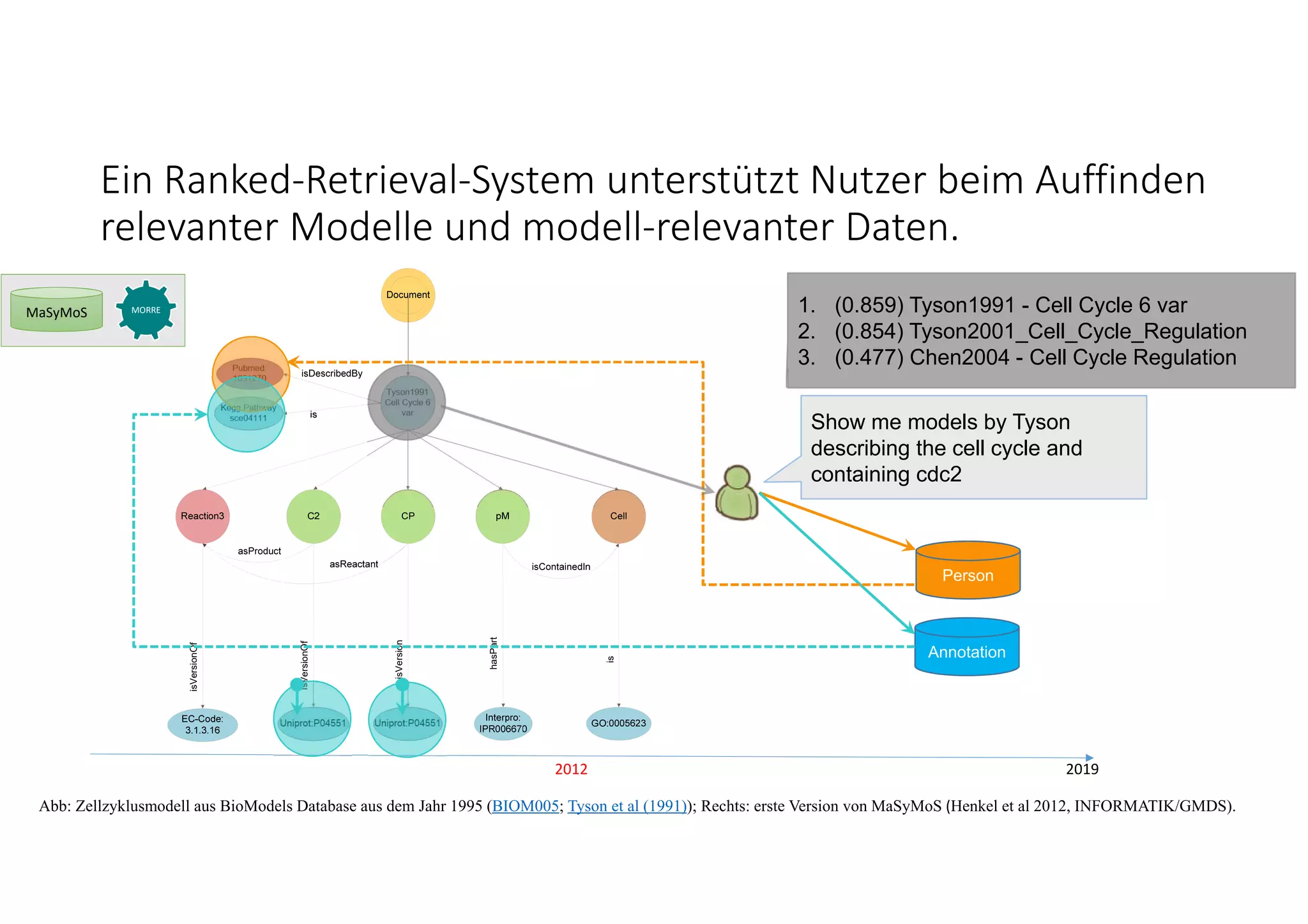 2012 2019
Abb: Zellzyklusmodell aus BioModels Database aus dem Jahr 1995 (BIOM005; Tyson et al (1991)); Rechts: erste Version von MaSyMoS (Henkel et al 2012, INFORMATIK/GMDS).
isVersionOf
isVersion
hasPart
is
isVersionOf
Annotation
Person
Show me models by Tyson
describing the cell cycle and
containing cdc2
1. (0.859) Tyson1991 - Cell Cycle 6 var
2. (0.854) Tyson2001_Cell_Cycle_Regulation
3. (0.477) Chen2004 - Cell Cycle Regulation
MaSyMoS MORRE
Ein Ranked‐Retrieval‐System unterstützt Nutzer beim Auffinden 
relevanter Modelle und modell‐relevanter Daten. 
 