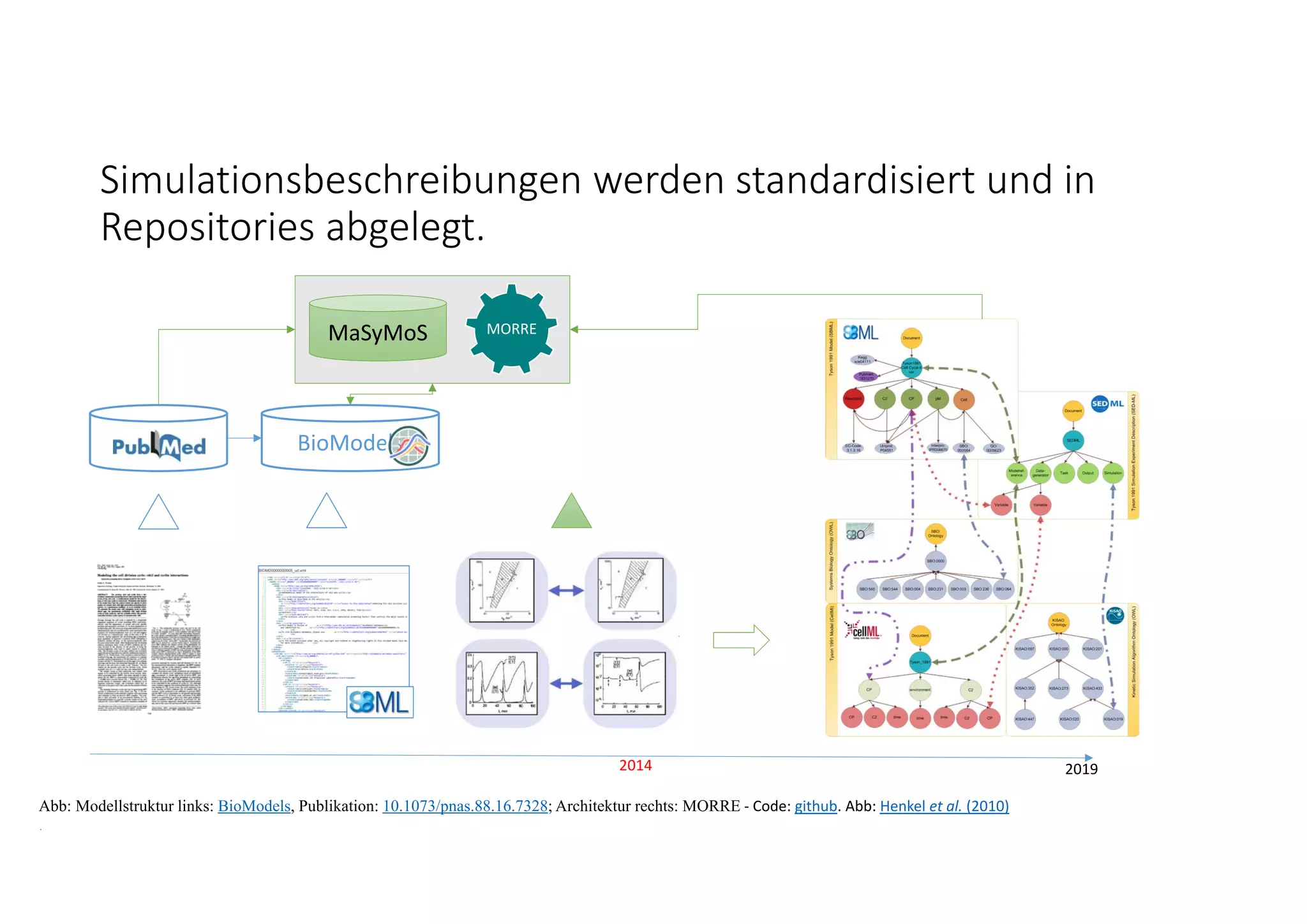 Simulationsbeschreibungen werden standardisiert und in 
Repositories abgelegt.
2014 2019
Abb: Modellstruktur links: BioModels, Publikation: 10.1073/pnas.88.16.7328; Architektur rechts: MORRE ‐ Code: github. Abb: Henkel et al. (2010)
.
MaSyMoS MORRE
BioModels
 