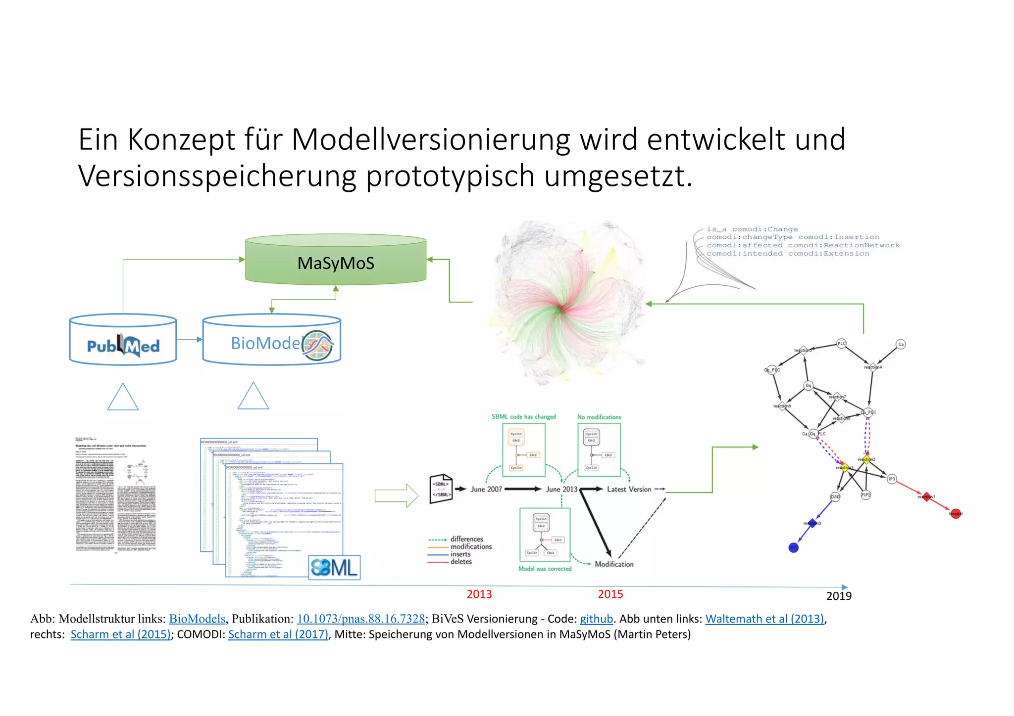 Ein Konzept für Modellversionierung wird entwickelt und 
Versionsspeicherung prototypisch umgesetzt. 
2013 2019
Abb: Modellstruktur links: BioModels, Publikation: 10.1073/pnas.88.16.7328; BiVeS Versionierung ‐ Code: github. Abb unten links: Waltemath et al (2013), 
rechts:  Scharm et al (2015); COMODI: Scharm et al (2017), Mitte: Speicherung von Modellversionen in MaSyMoS (Martin Peters)
MaSyMoS
2015
BioModels
 