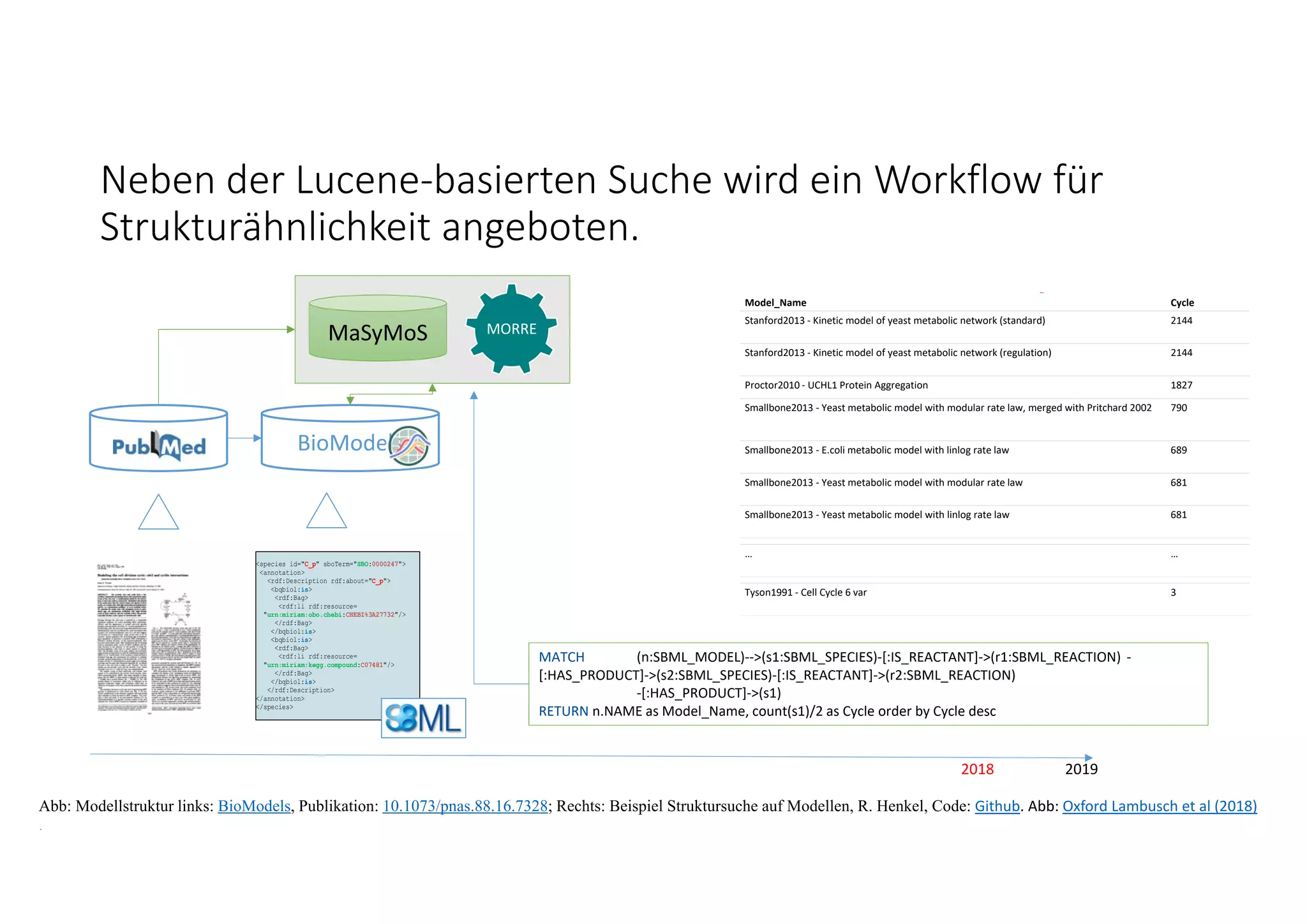Neben der Lucene‐basierten Suche wird ein Workflow für 
Strukturähnlichkeit angeboten. 
2018 2019
Abb: Modellstruktur links: BioModels, Publikation: 10.1073/pnas.88.16.7328; Rechts: Beispiel Struktursuche auf Modellen, R. Henkel, Code: Github. Abb: Oxford Lambusch et al (2018)
.
MATCH (n:SBML_MODEL)‐‐>(s1:SBML_SPECIES)‐[:IS_REACTANT]‐>(r1:SBML_REACTION) ‐
[:HAS_PRODUCT]‐>(s2:SBML_SPECIES)‐[:IS_REACTANT]‐>(r2:SBML_REACTION)
‐[:HAS_PRODUCT]‐>(s1) 
RETURN n.NAME as Model_Name, count(s1)/2 as Cycle order by Cycle desc
<species id="C_p" sboTerm="SBO:0000247">
<annotation>
<rdf:Description rdf:about="C_p">
<bqbiol:is>
<rdf:Bag>
<rdf:li rdf:resource=
"urn:miriam:obo.chebi:CHEBI%3A27732"/>
</rdf:Bag>
</bqbiol:is>
<bqbiol:is>
<rdf:Bag>
<rdf:li rdf:resource=
"urn:miriam:kegg.compound:C07481"/>
</rdf:Bag>
</bqbiol:is>
</rdf:Description>
</annotation>
</species>
Model_Name Cycle
Stanford2013 ‐ Kinetic model of yeast metabolic network (standard) 2144
Stanford2013 ‐ Kinetic model of yeast metabolic network (regulation) 2144
Proctor2010 ‐ UCHL1 Protein Aggregation 1827
Smallbone2013 ‐ Yeast metabolic model with modular rate law, merged with Pritchard 2002 790
Smallbone2013 ‐ E.coli metabolic model with linlog rate law 689
Smallbone2013 ‐ Yeast metabolic model with modular rate law 681
Smallbone2013 ‐ Yeast metabolic model with linlog rate law 681
… …
Tyson1991 ‐ Cell Cycle 6 var 3
MaSyMoS MORRE
BioModels
 