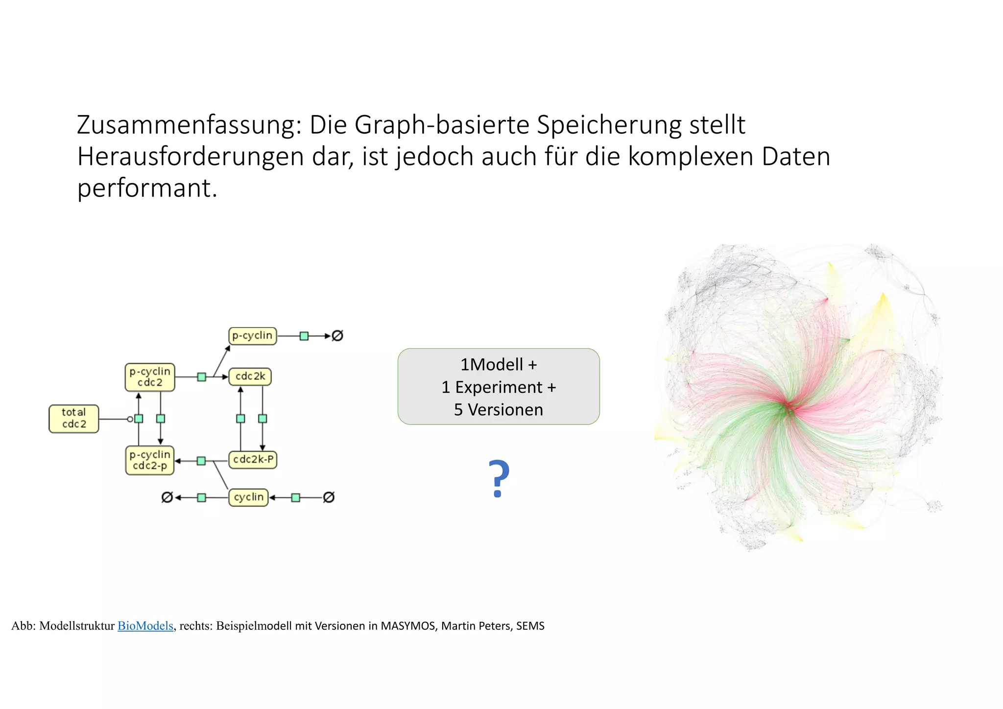 Zusammenfassung: Die Graph‐basierte Speicherung stellt 
Herausforderungen dar, ist jedoch auch für die komplexen Daten 
performant. 
1Modell + 
1 Experiment +
5 Versionen
Abb: Modellstruktur BioModels, rechts: Beispielmodell mit Versionen in MASYMOS, Martin Peters, SEMS
 