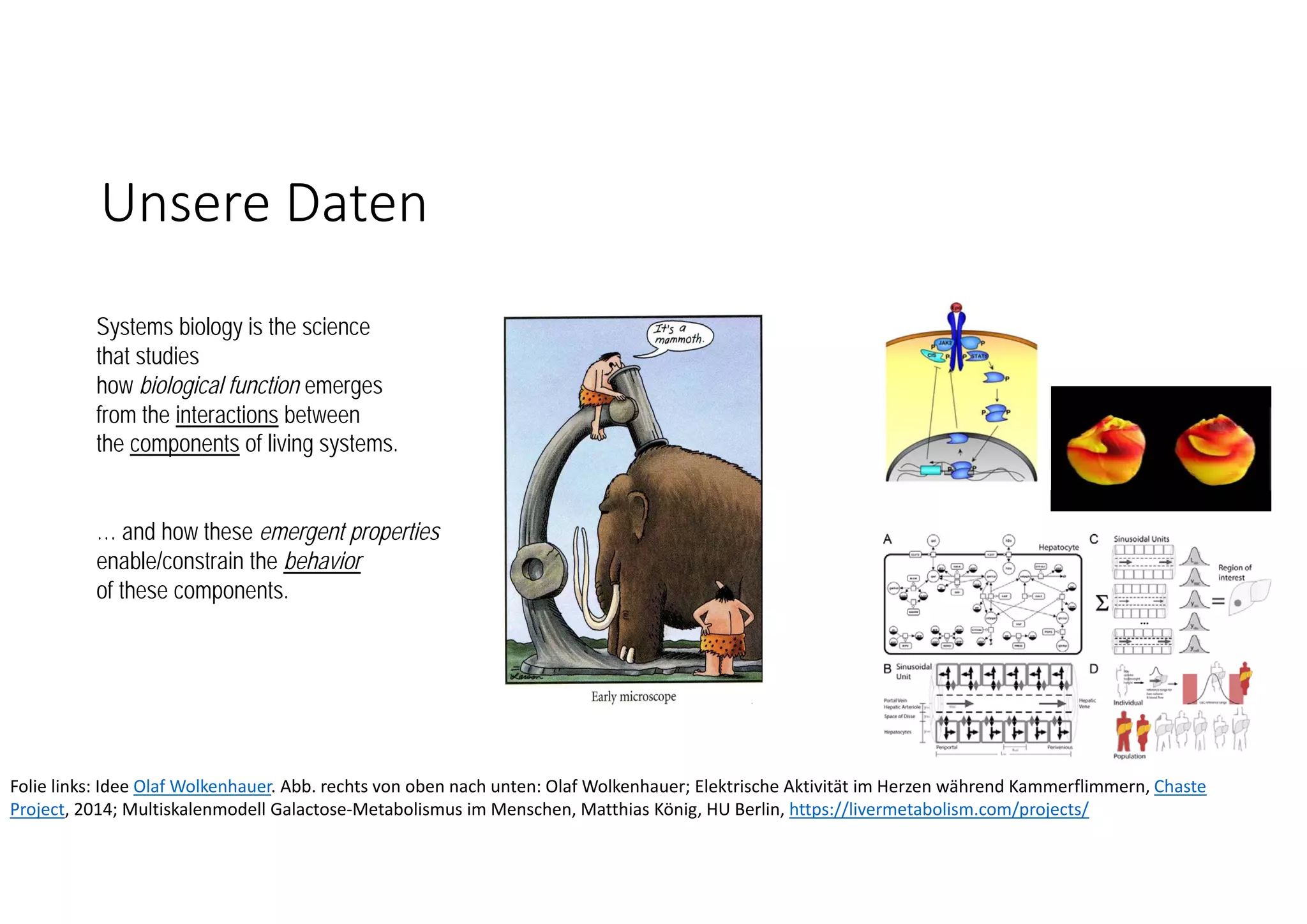 Unsere Daten
Systems biology is the science
that studies
how biological function emerges
from the interactions between
the components of living systems.
… and how these emergent properties
enable/constrain the behavior
of these components.
Folie links: Idee Olaf Wolkenhauer. Abb. rechts von oben nach unten: Olaf Wolkenhauer; Elektrische Aktivität im Herzen während Kammerflimmern, Chaste
Project, 2014; Multiskalenmodell Galactose‐Metabolismus im Menschen, Matthias König, HU Berlin, https://livermetabolism.com/projects/
 