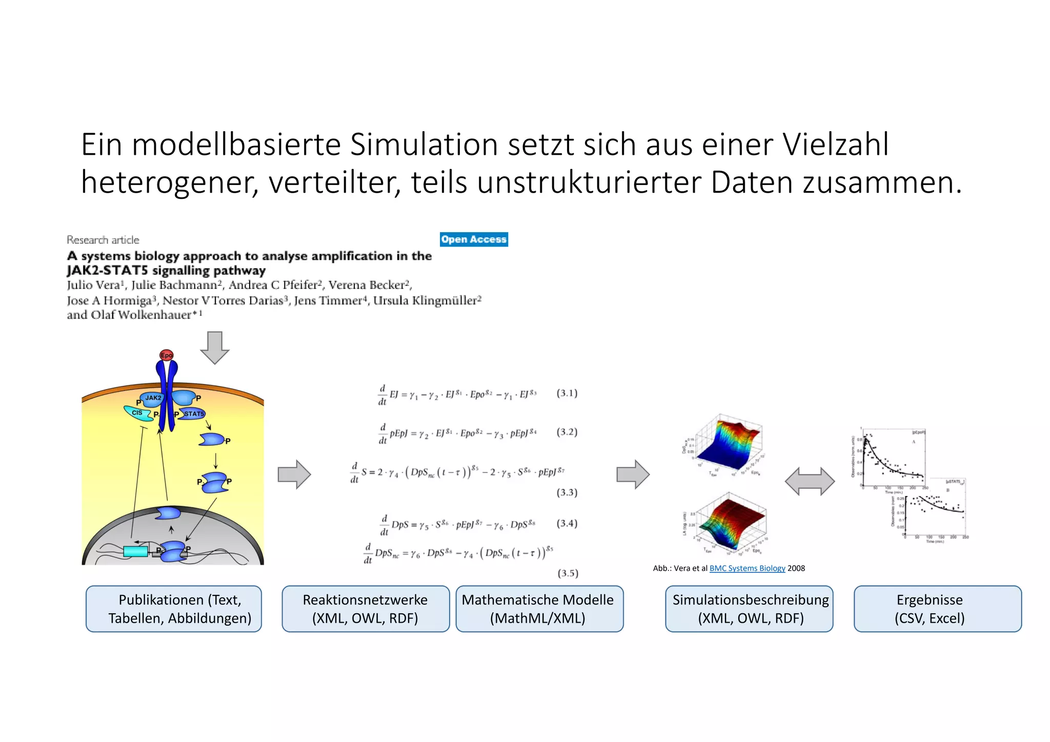 Ein modellbasierte Simulation setzt sich aus einer Vielzahl 
heterogener, verteilter, teils unstrukturierter Daten zusammen.
Reaktionsnetzwerke
(XML, OWL, RDF)
Mathematische Modelle
(MathML/XML)
Simulationsbeschreibung
(XML, OWL, RDF)
Ergebnisse
(CSV, Excel)
Abb.: Vera et al BMC Systems Biology 2008
Publikationen (Text, 
Tabellen, Abbildungen)
 