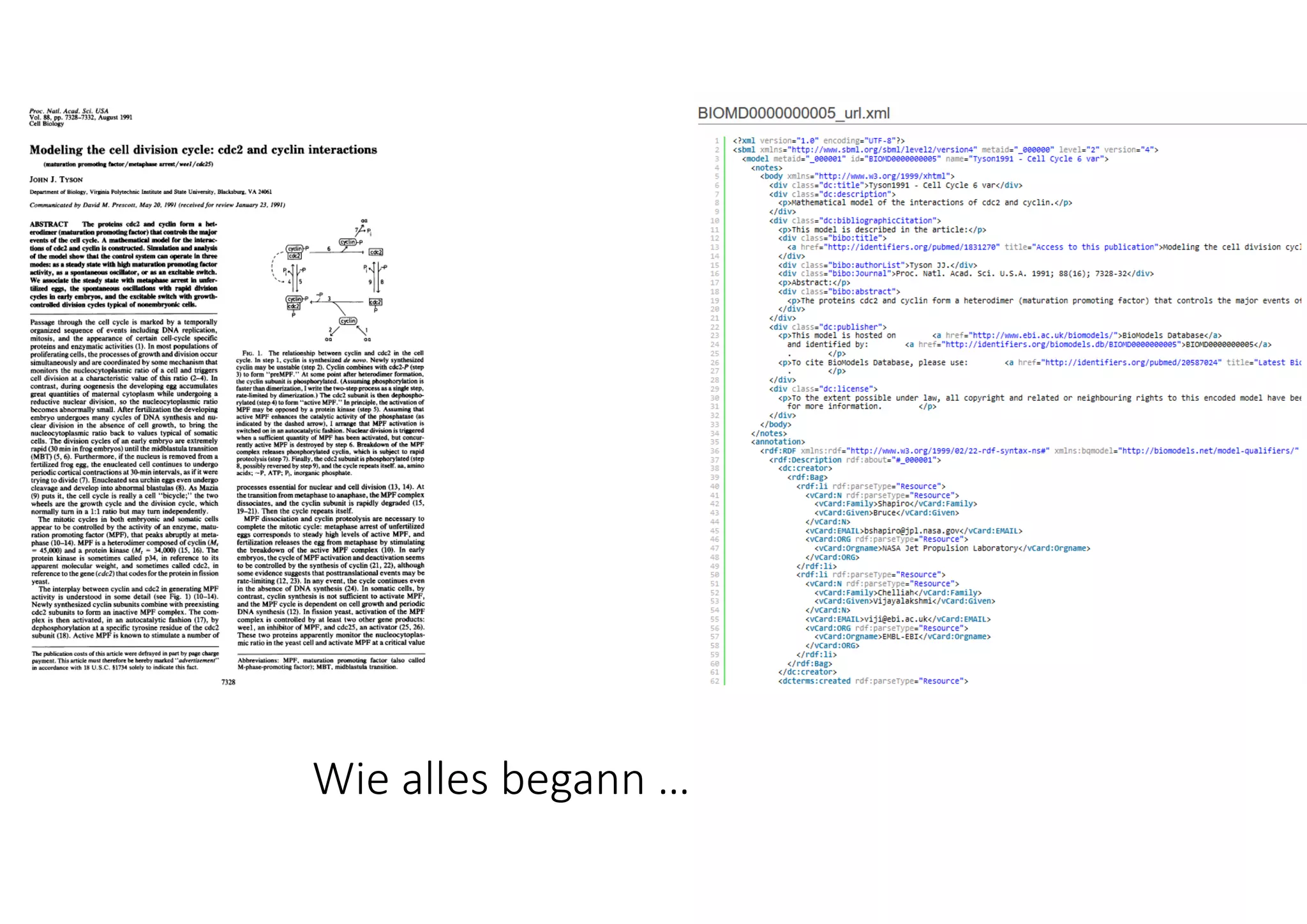 Wie alles begann … 
 