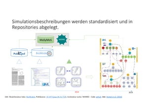 Simulationsbeschreibungen werden standardisiert und in 
Repositories abgelegt.
2014 2019
Abb: Modellstruktur links: BioModels, Publikation: 10.1073/pnas.88.16.7328; Architektur rechts: MORRE ‐ Code: github. Abb: Henkel et al. (2010)
.
MaSyMoS MORRE
BioModels
 