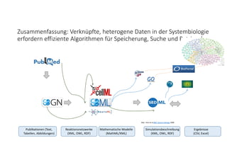 Zusammenfassung: Verknüpfte, heterogene Daten in der Systembiologie 
erfordern effiziente Algorithmen für Speicherung, Suche und Retrieval.
Abb.: Vera et al BMC Systems Biology 2008
Reaktionsnetzwerke
(XML, OWL, RDF)
Mathematische Modelle
(MathML/XML)
Simulationsbeschreibung
(XML, OWL, RDF)
Ergebnisse
(CSV, Excel)
Publikationen (Text, 
Tabellen, Abbildungen)
 