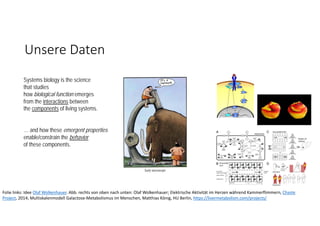 Unsere Daten
Systems biology is the science
that studies
how biological function emerges
from the interactions between
the components of living systems.
… and how these emergent properties
enable/constrain the behavior
of these components.
Folie links: Idee Olaf Wolkenhauer. Abb. rechts von oben nach unten: Olaf Wolkenhauer; Elektrische Aktivität im Herzen während Kammerflimmern, Chaste
Project, 2014; Multiskalenmodell Galactose‐Metabolismus im Menschen, Matthias König, HU Berlin, https://livermetabolism.com/projects/
 