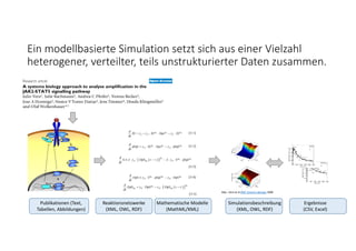 Ein modellbasierte Simulation setzt sich aus einer Vielzahl 
heterogener, verteilter, teils unstrukturierter Daten zusammen.
Reaktionsnetzwerke
(XML, OWL, RDF)
Mathematische Modelle
(MathML/XML)
Simulationsbeschreibung
(XML, OWL, RDF)
Ergebnisse
(CSV, Excel)
Abb.: Vera et al BMC Systems Biology 2008
Publikationen (Text, 
Tabellen, Abbildungen)
 