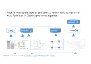 Publizierte Modelle werden seit über 10 Jahren in standardisierten 
XML‐Formaten in Open Repositories abgelegt. 
1996 2019
Abb: Zellzyklusmodelle aus den Jahren 1995 (BIOM005; Tyson et al (1991)), 2001 (BIOM195), 2018: BIOM700
2001
BioModels Physiome
BioModels
 