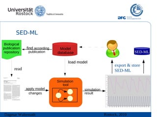 SED-ML
Biological
publication   find according    Model
repository     publication     database                                    SED-ML

                                     load model
                                                                export & store
       read                                                     SED-ML

                               Simulation
                                  tool
              apply model                    simulation
               changes                       result




Dagmar Waltemath                                          Rostock, 2010
 