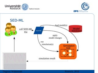 SED-ML
                                                load model(s)
             call SED-ML                                         Model
                   file
                           SED-ML                               database
                                           apply
                                        model changes
                               run
                                simulation(s)
                                                        Simulation
                                                          tool



                             simulation result




Dagmar Waltemath                                          Rostock, 2010
 
