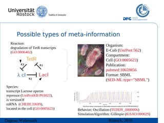 Possible types of meta-information
  Reaction:
                                                     Organism:
  degradation of TetR transcripts
  (GO:0006402)                                       E-Coli (UniProt:562)
                                                     Compartment:
                                                     Cell (GO:0005623)
                                                     Publication:
                                                     pubmed:10659856
                                                     Format: SBML
                                                     (SED-ML:type=”SBML”)
Species:
transcript Lactose operon
repressor (UniProtKB:P03023),
is versionOf
mRNA (CHEBI:33699),
located in the cell (GO:0005623)    Behavior: Oscillation (TEDDY_0000006)
                                    SimulationAlgorithm: Gillespie (KiSAO:000029)
Dagmar Waltemath                                       Rostock, 2010
 