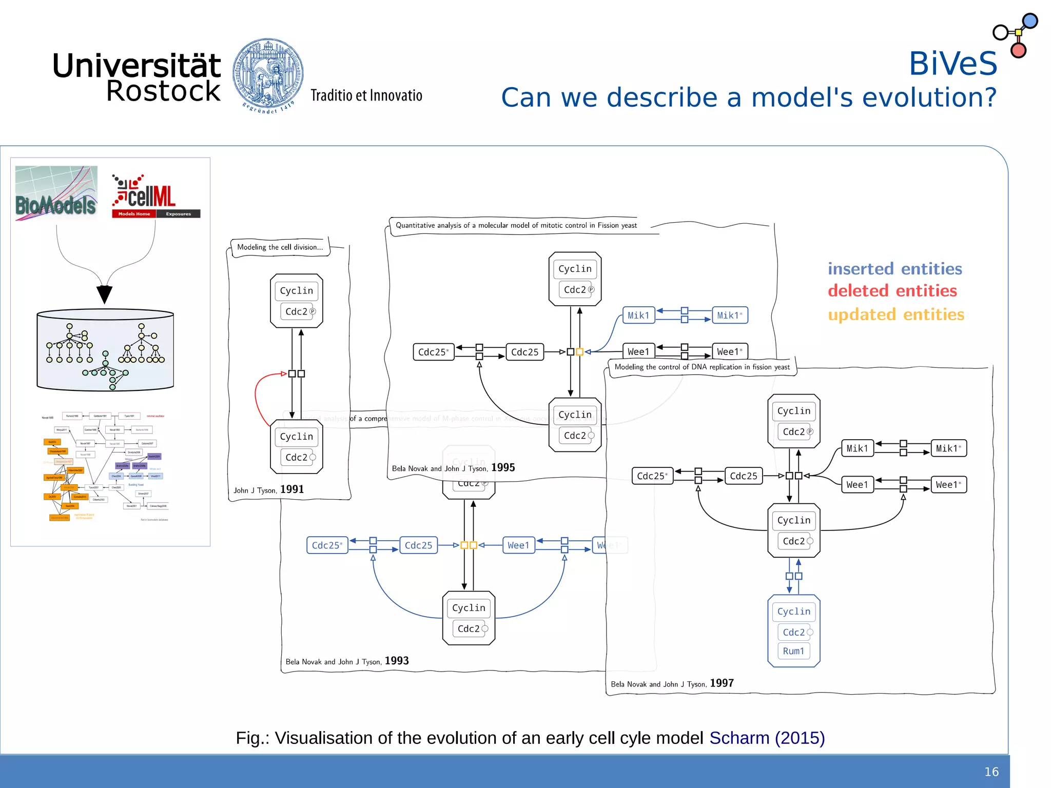 16
BiVeS
Can we describe a model's evolution?
Fig.: Visualisation of the evolution of an early cell cyle model Scharm (2015)
 