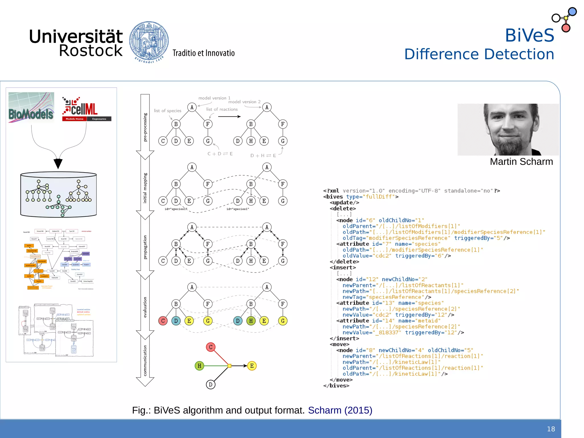 18
BiVeS
Difference Detection
Fig.: BiVeS algorithm and output format. Scharm (2015)
Martin Scharm
 