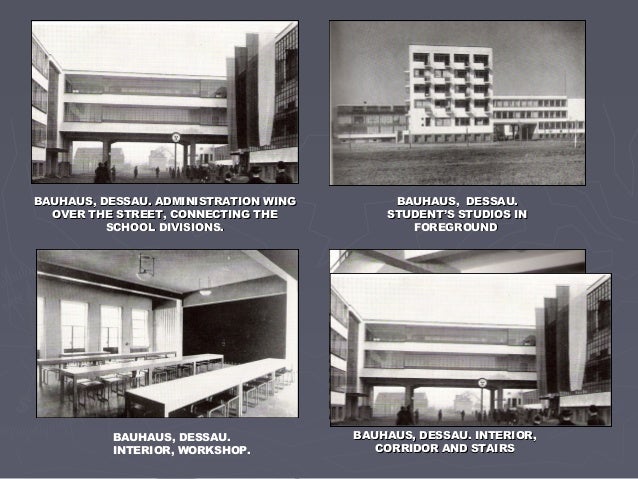architect walter groupius