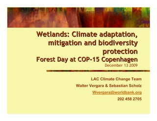 Wetlands: Climate adaptation,
  mitigation and biodiversity
                   protection
Forest Day at COP-15 Copenhagen
                          December 13 2009


                   LAC Climate Change Team
            Walter Vergara & Sebastian Scholz
                    Wvergara@worldbank.org
                                202 458 2705
 