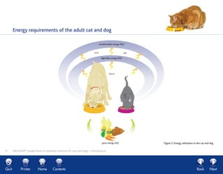 Energy requirements of the adult cat and dog
WALTHAM®
pocket book of essential nutrition for cats and dogs – Introduction9...