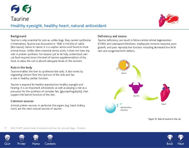 Natural Sources Of Taurine For Dogs Natural Sources Of Taurine For Dogs
