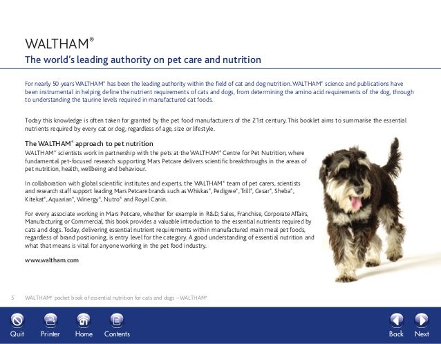 Authority Cat Food For Hedgehogs Authority Cat Food For Hedgehogs
