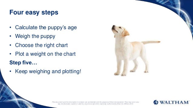 waltham puppy growth charts puppy growth chart