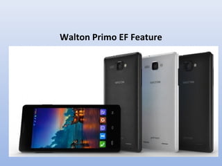Walton Primo EF Feature
 