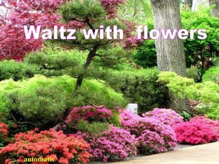 Waltz with  flowers  automat ic 