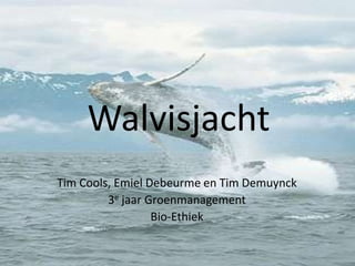 Walvisjacht Tim Cools, Emiel Debeurme en Tim Demuynck 3e jaar Groenmanagement Bio-Ethiek 