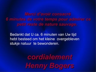 Merci d’avoir consacréMerci d’avoir consacré
6 minutes de votre temps pour admirer ce6 minutes de votre temps pour admirer ce
petit reste de nature sauvage.petit reste de nature sauvage.
cordialementcordialement
Henny BogersHenny Bogers
Bedankt dat U ca. 6 minuten van Uw tijd
hebt besteed om het kleine overgebleven
stukje natuur te bewonderen.
 