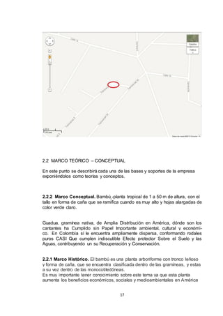 2.2 MARCO TEÓRICO – CONCEPTUAL
En este punto se describirá cada una de las bases y soportes de la empresa
exponiéndolos como teorías y conceptos.

2.2.2 Marco Conceptual. Bambú -planta tropical de 1 a 50 m de altura, con el
tallo en forma de caña que se ramifica cuando es muy alto y hojas alargadas de
color verde claro.

Guadua. gramínea nativa, de Amplia Distribución en América, dónde son los
cantantes ha Cumplido sin Papel Importante ambiental, cultural y económico. En Colombia sí le encuentra ampliamente dispersa, conformando rodales
puros CASI Que cumplen indiscutible Efecto protector Sobre el Suelo y las
Aguas, contribuyendo un su Recuperación y Conservación.

2.2.1 Marco Histórico. El bambú es una planta arboriforme con tronco leñoso
y forma de caña, que se encuentra clasificada dentro de las gramíneas, y estas
a su vez dentro de las monocotiledóneas.
Es muy importante tener conocimiento sobre este tema ya que esta planta
aumenta los beneficios económicos, sociales y medioambientales en América
17

 