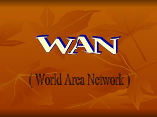 WAN ( World Area Network ) 