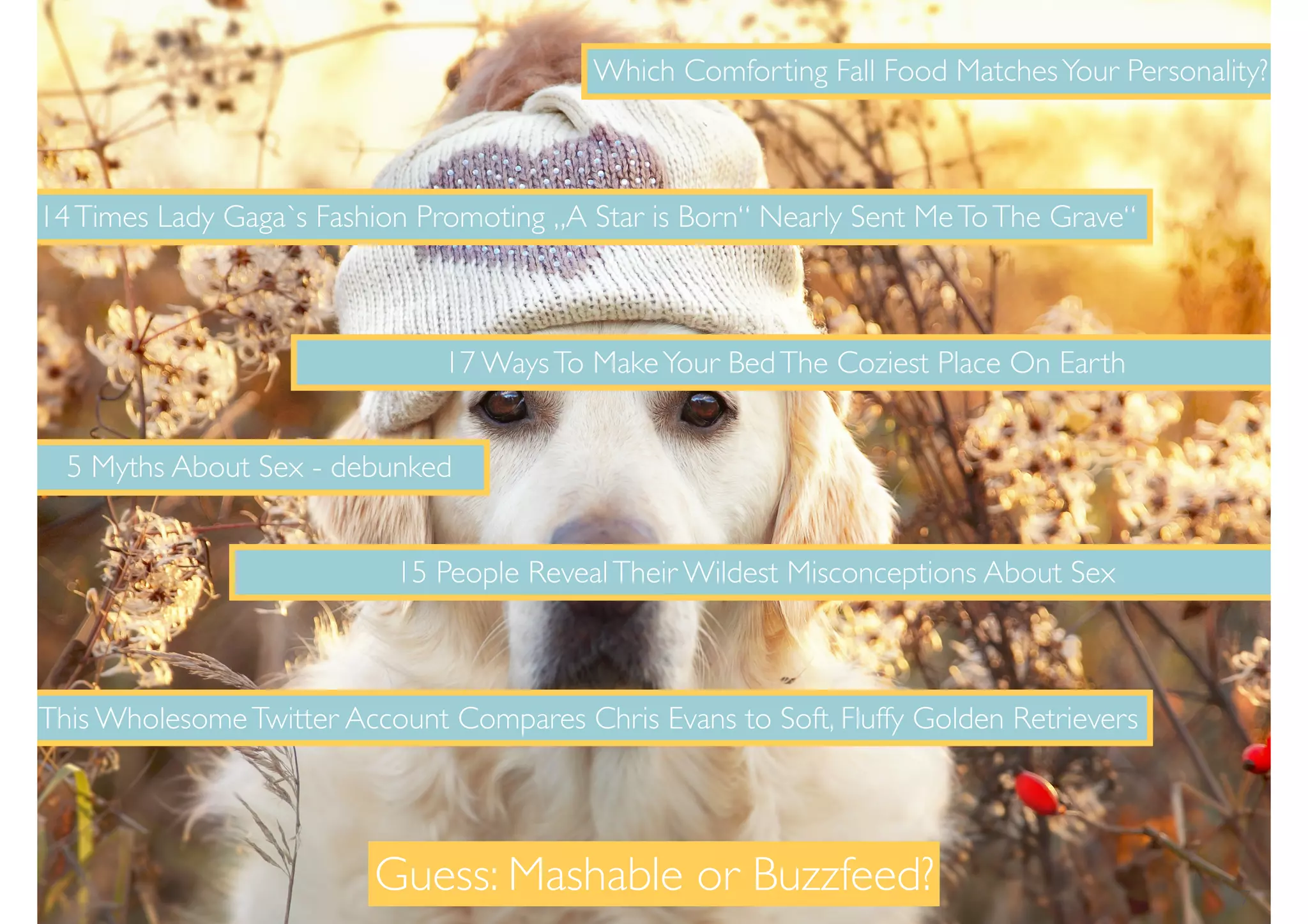 Which Comforting Fall Food MatchesYour Personality?
14Times Lady Gaga`s Fashion Promoting „A Star is Born“ Nearly Sent MeToThe Grave“
17 WaysTo MakeYour BedThe Coziest Place On Earth
5 Myths About Sex - debunked
15 People RevealTheir Wildest Misconceptions About Sex
This WholesomeTwitter Account Compares Chris Evans to Soft, Fluffy Golden Retrievers
Guess: Mashable or Buzzfeed? 7
 