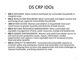 DS CRP IDOs
• IDO 1 RESILIENCE: More resilient livelihoods for vulnerable households in
marginal areas
• IDO 2 WEALTH AND WELLBEING: More sustainable and higher income and
well-being of per capita for intensifiable households
• IDO 3 FOOD ACCESS: Women and children in households have year-
round access to greater quantity and diversity of food sources
• IDO 4 NATURAL RESOURCES MANAGEMENT: More sustainable and
equitable management of land, water resources, energy and biodiversity
• IDO 5 GENDER EMPOWERMENT: Women and youth have better access to
and control over productive assets, inputs, information, market
opportunities and capture a more equitable share of increased income,
food and other benefits
• IDO 6 CAPACITY TO INNOVATE - Increased and sustainable capacity to
innovate within and among low income and vulnerable rural community
systems, allowing them to seize new opportunities and meet challenges to
improve livelihoods, and bring solutions to scale.
1
 