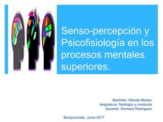 Senso-percepción y
Psicofisiología en los
procesos mentales
superiores.
Bachiller: Wanda Morles.
Asignatura: fisiología y conducta.
docente: Xiomara Rodríguez.
Barquisimeto, Junio 2017
 