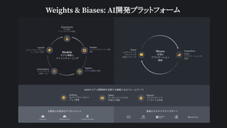 Weights & Biases: AI開発プラットフォーム
 