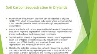 Soil Carbon Sequestration in Drylands


47 percent of the surface of the earth can be classified as dryland
(UNEP, 1992) which are considered to be areas where average rainfall
is less than the potential moisture losses through evaporation and
transpiration.



In semi arid lands, soil carbon sequestration is low due to low primary
production, high land degradation, land use change, high demand for
grazing land and poor land management techniques



Drylands exhibit chemical degradation of the soil; loss of vegetation
cover, loss of topsoil infiltration capacity, reduction in soil water
storage, loss of SOM, fertility and structure, loss of natural
regeneration; and lowering of the water table



Globally, the potential to sequester carbon by improving grassland
practices or rehabilitating degraded grasslands is substantial – of the
same order as that of agricultural and forestry sequestration( FA0

 