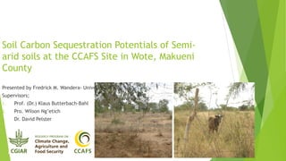 Soil Carbon Sequestration Potentials of Semiarid soils at the CCAFS Site in Wote, Makueni
County
Presented by Fredrick M. Wandera- University of Eldoret
Supervisors;
1.

Prof. (Dr.) Klaus Butterbach-Bahl

2.

Pro. Wilson Ng’etich

3.

Dr. David Pelster

 